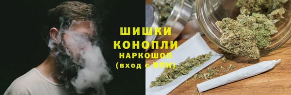 ешки Вязьма