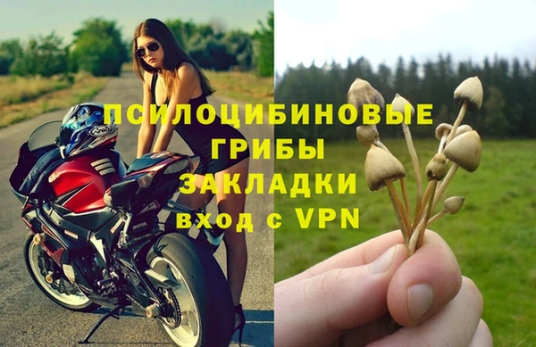 spice Вязники