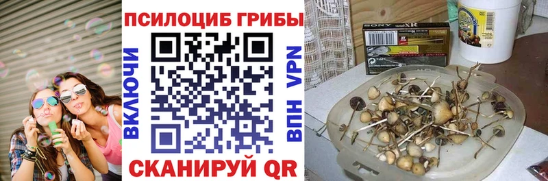 Псилоцибиновые грибы мухоморы  сколько стоит  Нефтекамск 