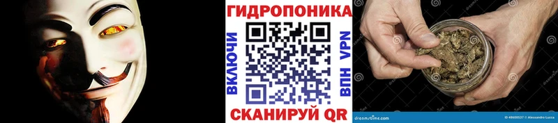 Марихуана OG Kush  Нефтекамск 